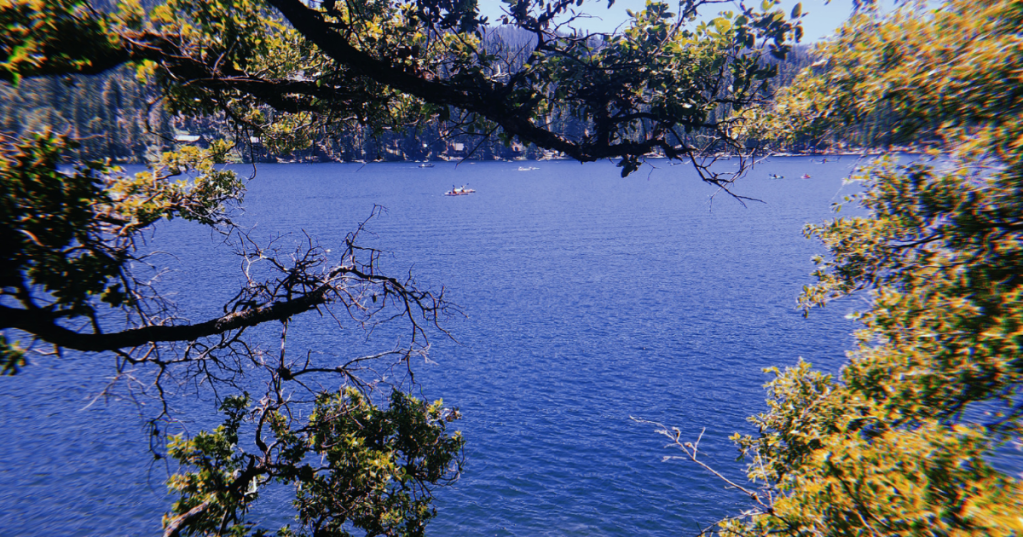 Understanding My Hiatus: Reflections and Future Goals